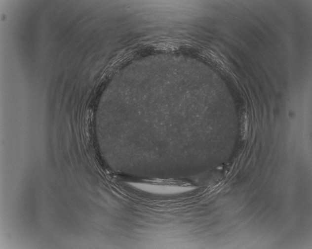 X0000057100229200509301625