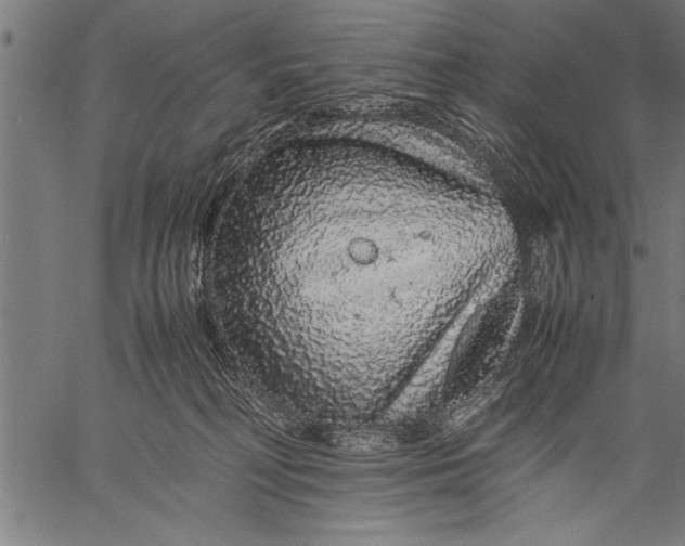 X0000057100230200509301625