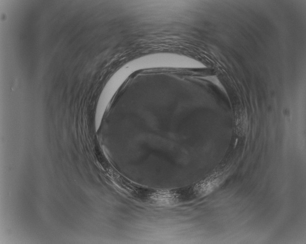 X0000057100231200509301625