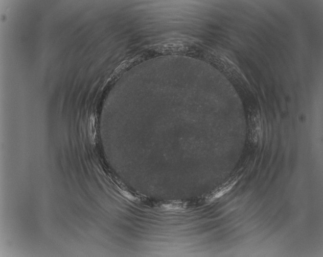 X0000057100232200509301625