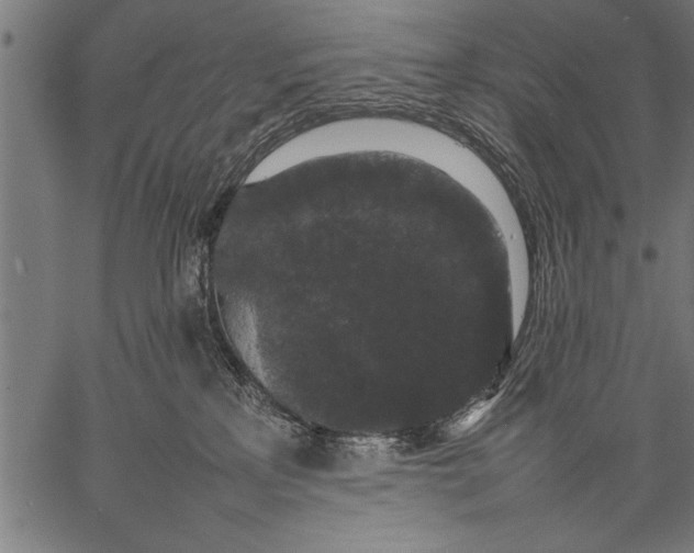 X0000057100233200509301625