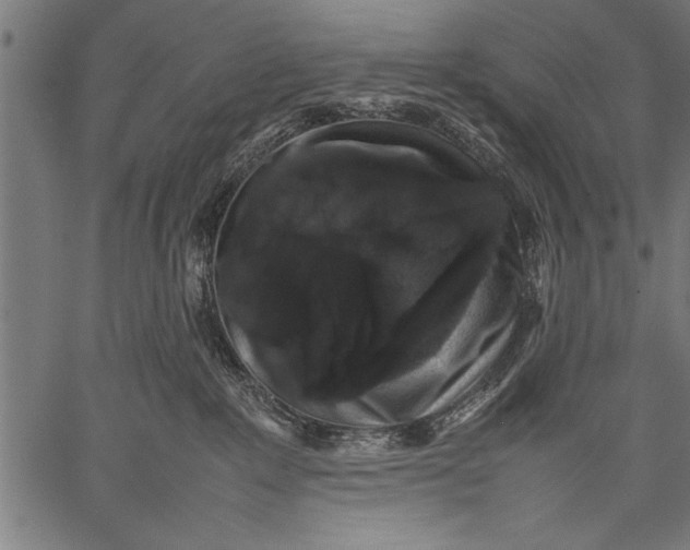 X0000057100235200509301625