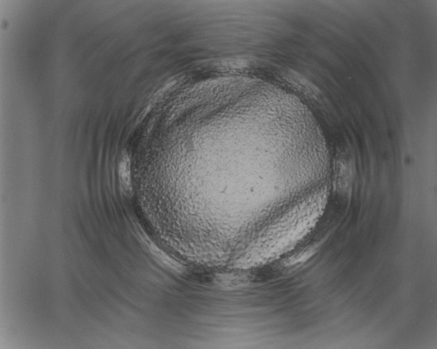 X0000057100238200509301625