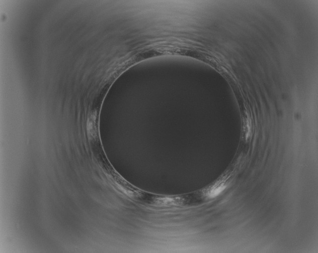 X0000057100239200509301625