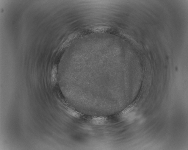 X0000057100240200509301625