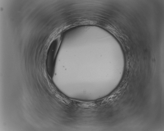 X0000057100241200509301624