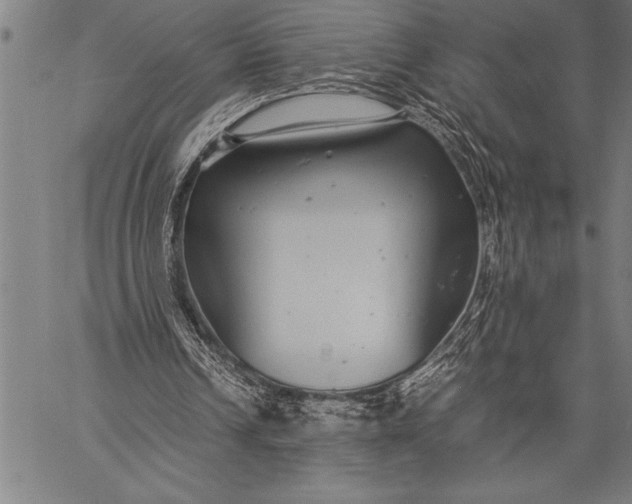 X0000057100242200509301624