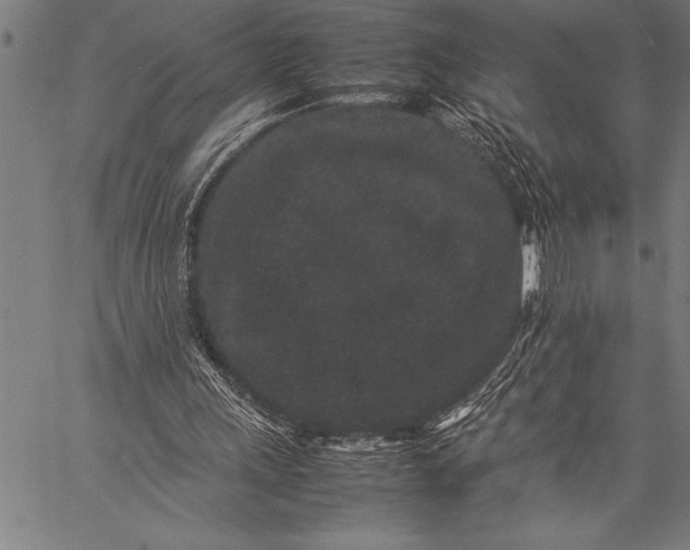 X0000057100243200509301624