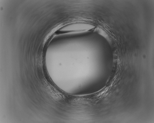 X0000057100244200509301624