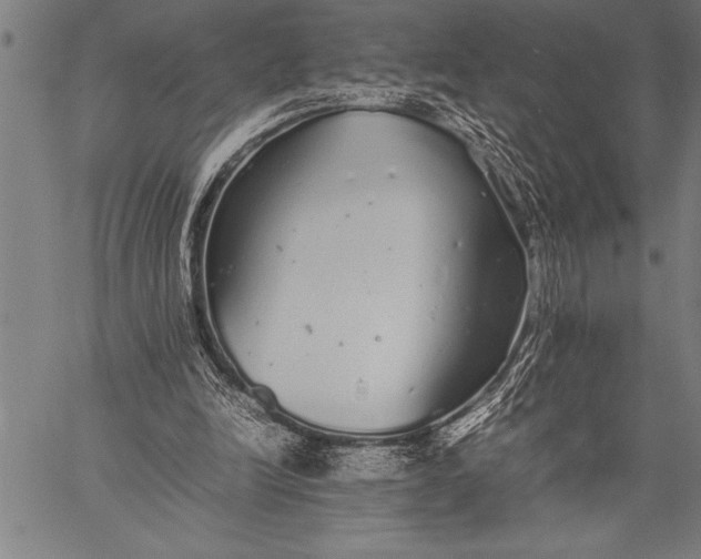 X0000057100246200509301624