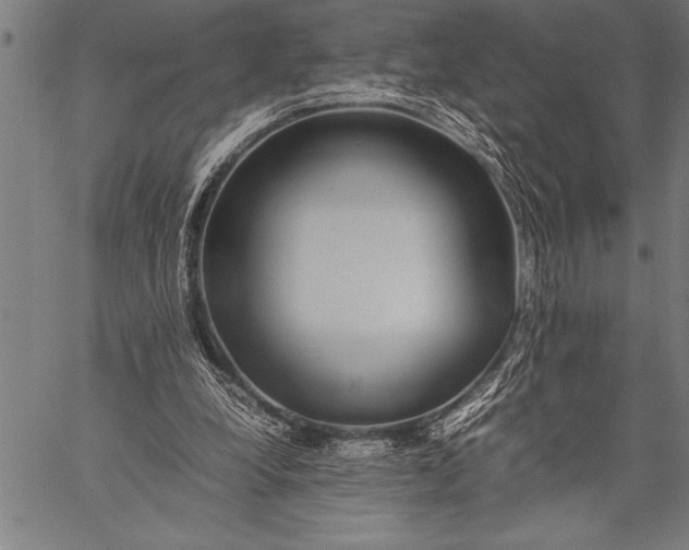 X0000057100248200509301624