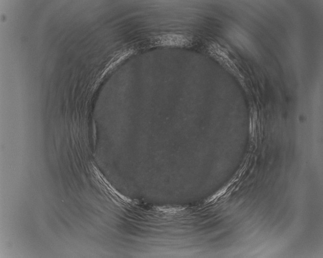 X0000057100249200509301624