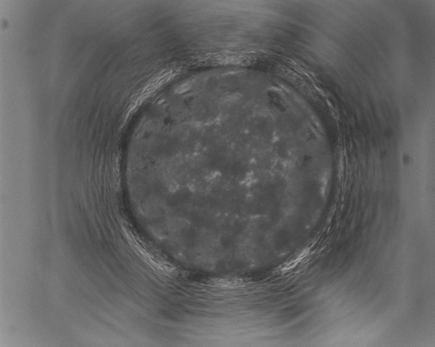 X0000057100250200509301624