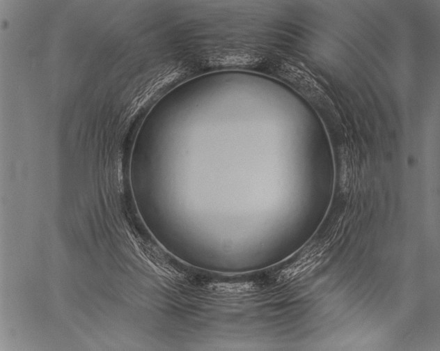 X0000057100251200509301624