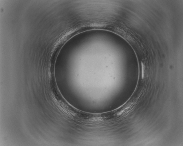 X0000057100252200509301624