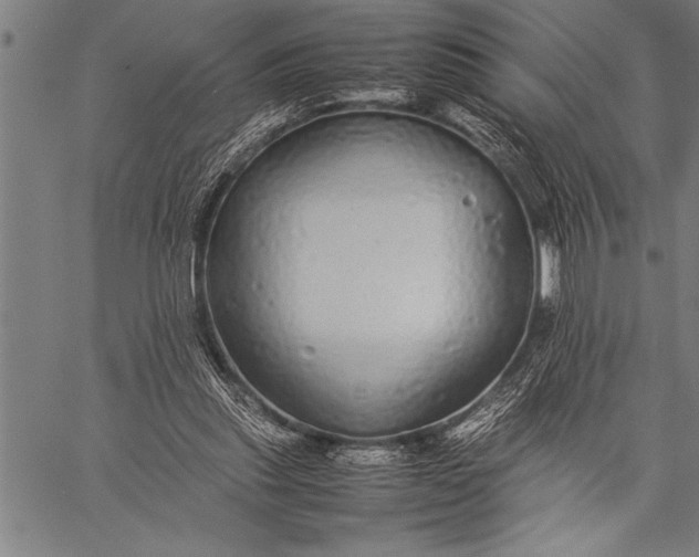 X0000057100253200509301624