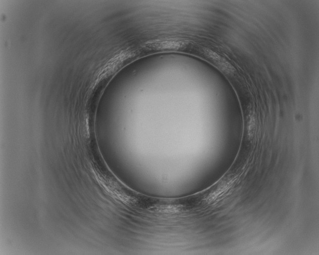 X0000057100254200509301624