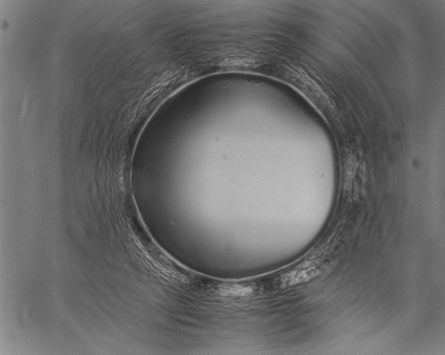 X0000057100257200509301624