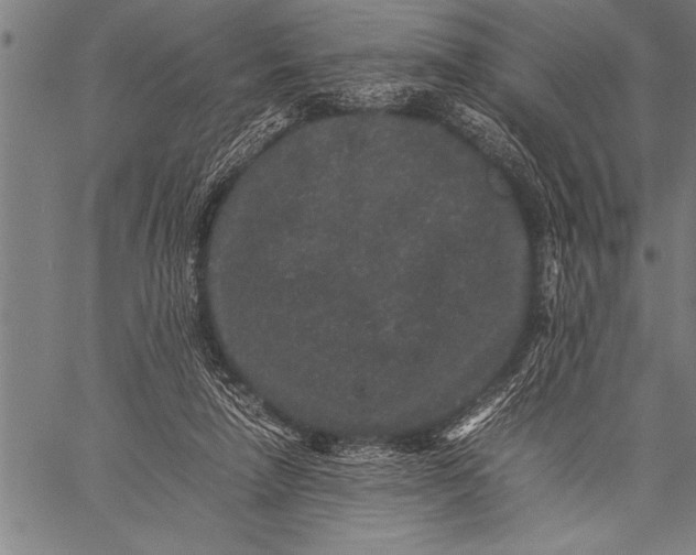 X0000057100258200509301624