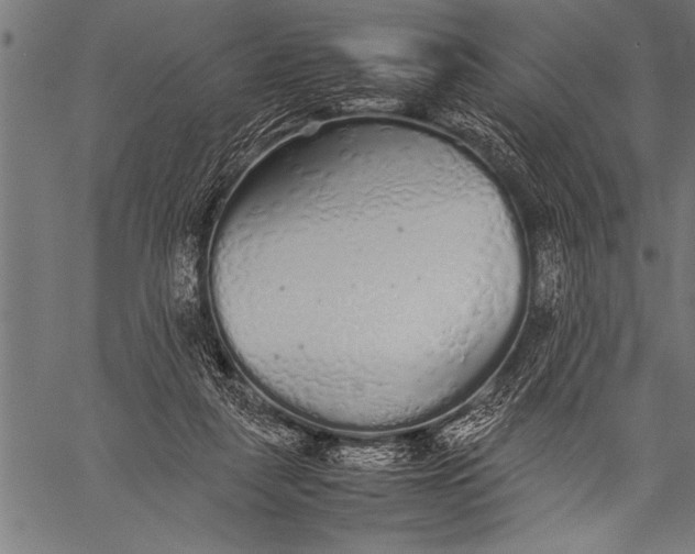 X0000057100259200509301624