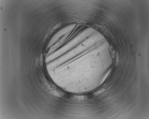 X0000057100260200509301624