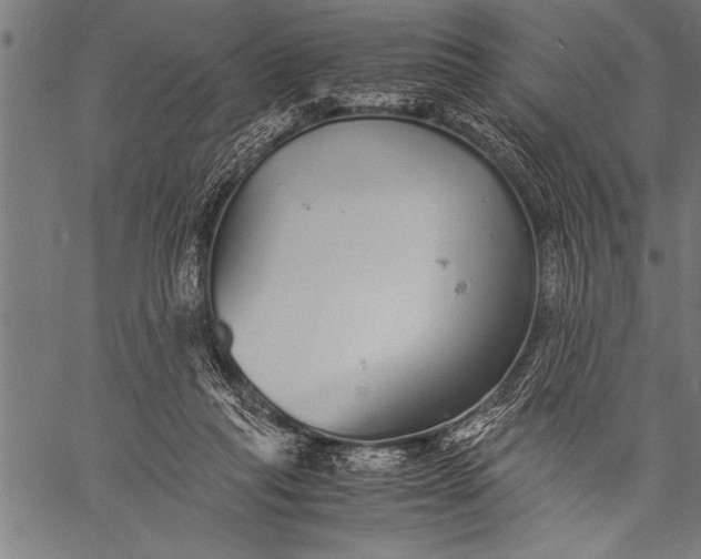 X0000057100261200509301624