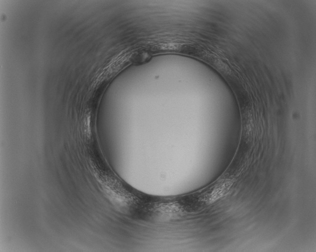 X0000057100262200509301624