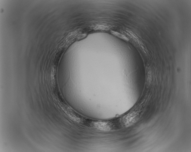 X0000057100265200509301625