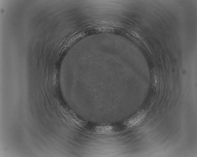 X0000057100266200509301625