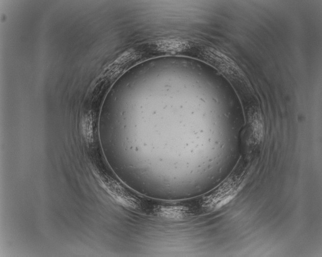 X0000057100268200509301625