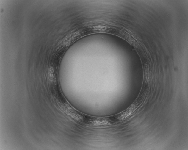 X0000057100270200509301625