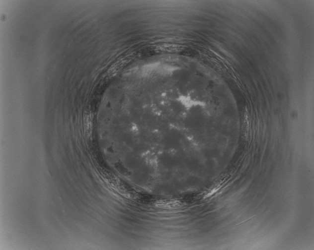 X0000057100271200509301625