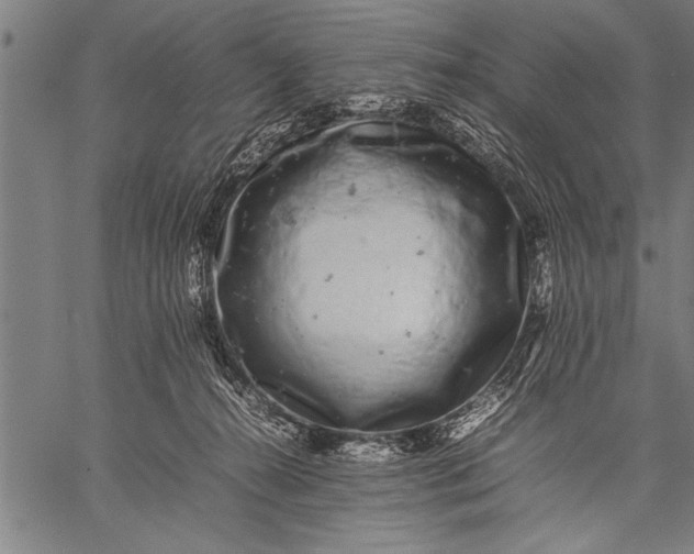 X0000057100272200509301625