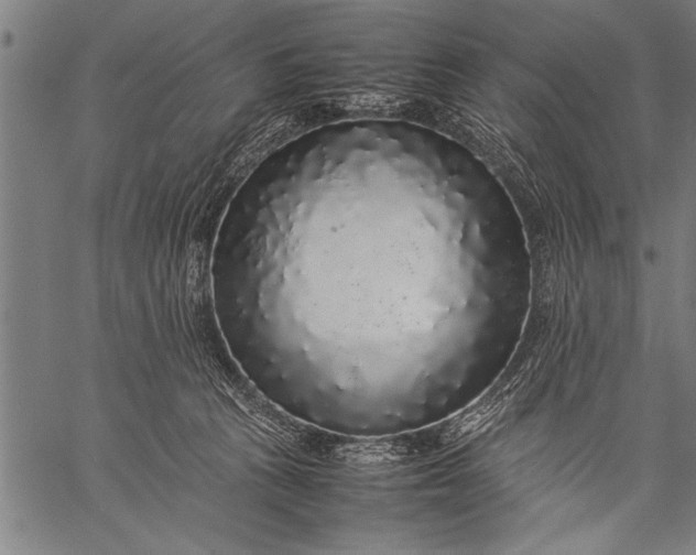 X0000057100273200509301625