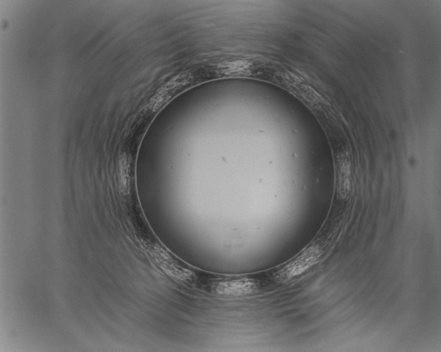 X0000057100274200509301625