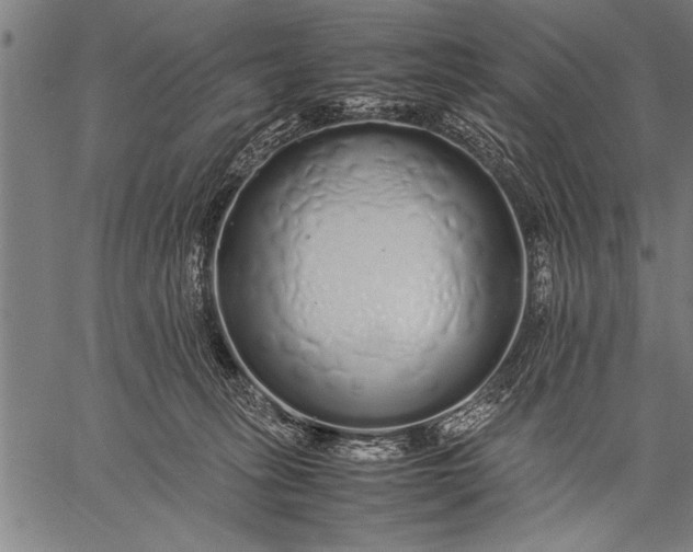 X0000057100275200509301625