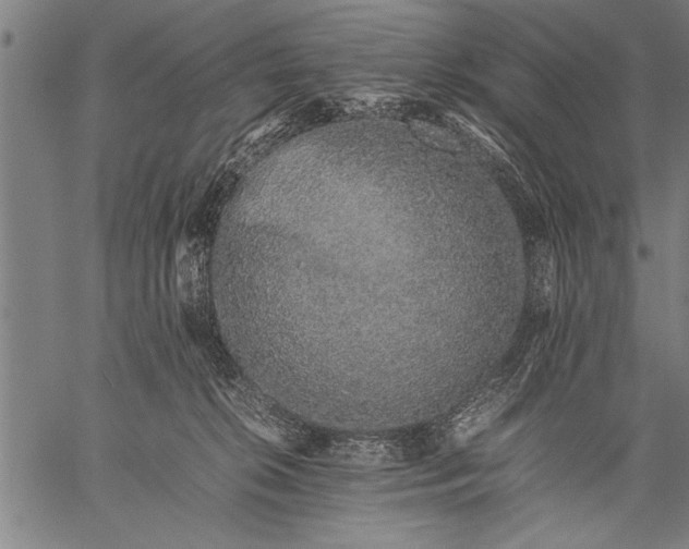 X0000057100276200509301625