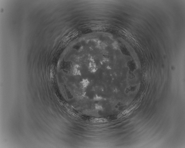 X0000057100277200509301625