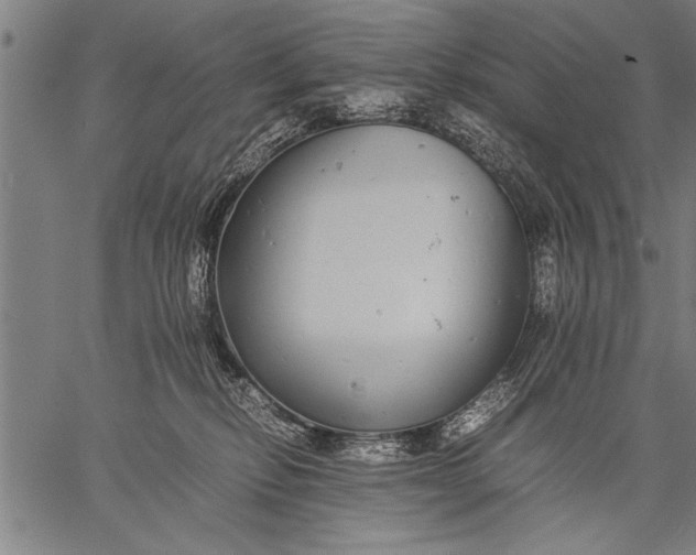 X0000057100278200509301625