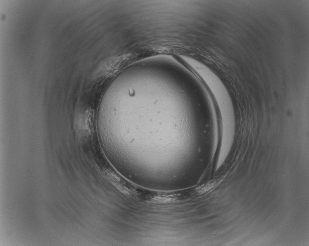 X0000057100280200509301625