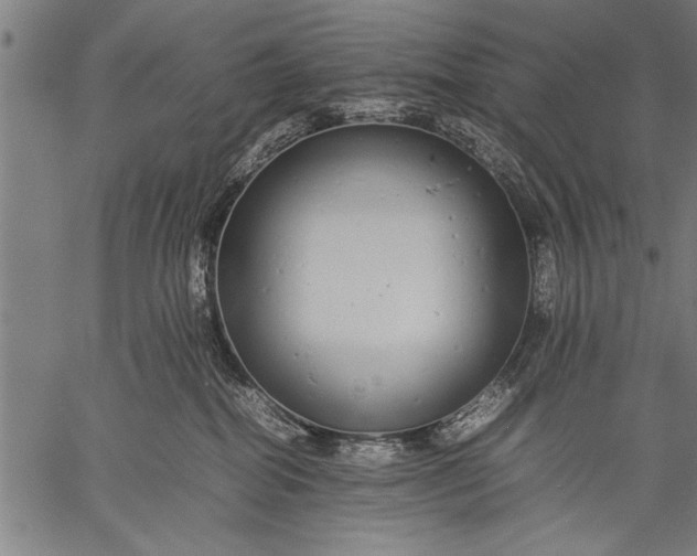 X0000057100282200509301625