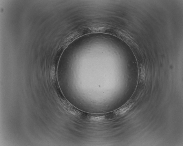 X0000057100283200509301625