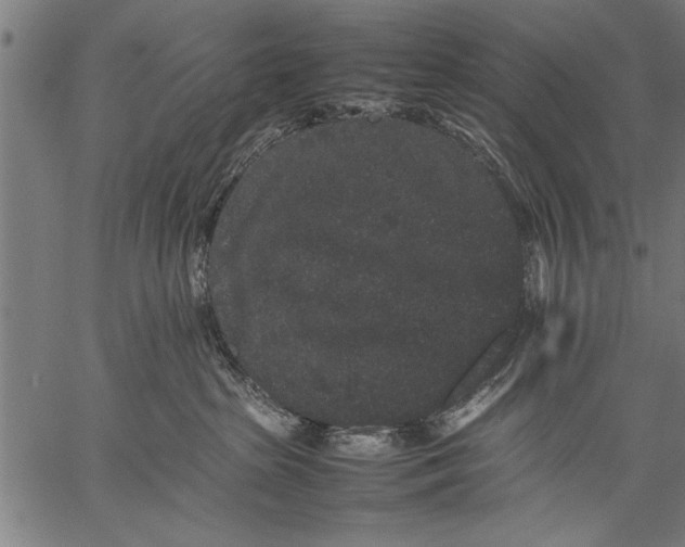 X0000057100285200509301625