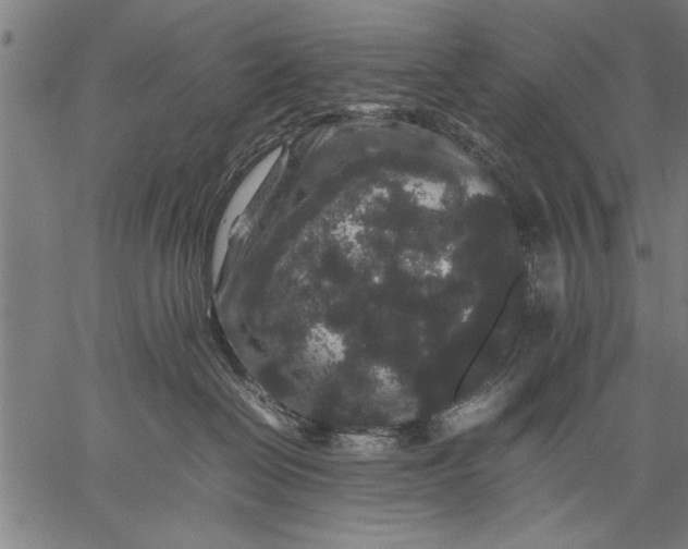 X0000057100286200509301625