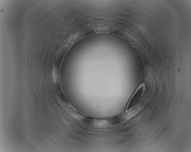 X0000057100287200509301625