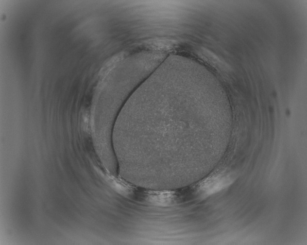 X0000057100288200509301625