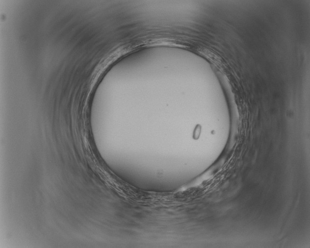 X0000057100289200509301624