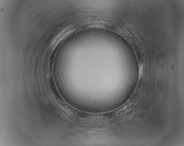 X0000057100291200509301624