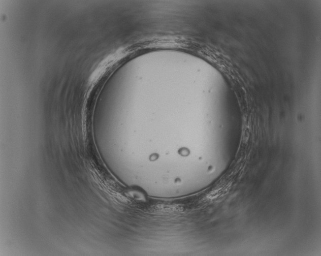 X0000057100296200509301624