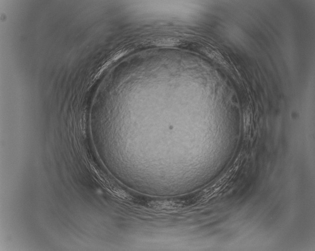 X0000057100297200509301624